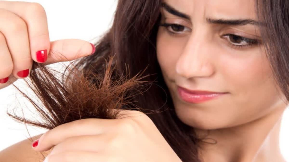 اگر آپ اپنے بالوں کو گھنا بنانا چاہتے ہیں تو یہ طریقے کام آئیں گے، آپ کے بال صحت مند رہیں گے