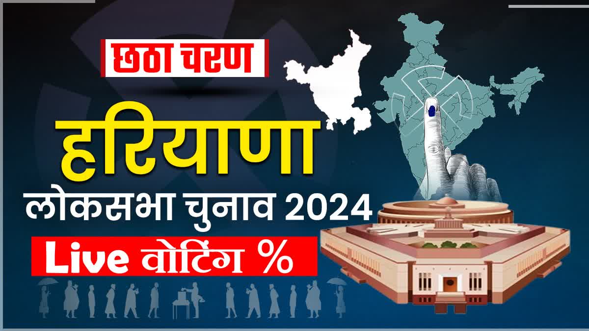 Voting percentage live update in Haryana Lok sabha Election 2024 BJP Congress