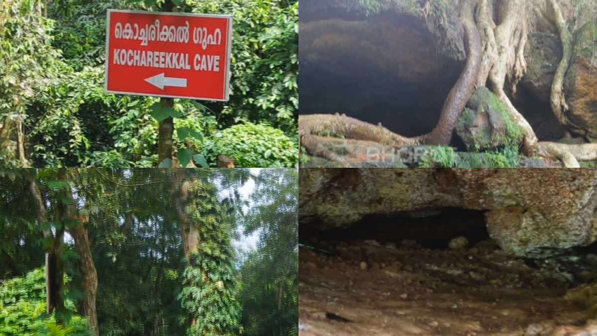 കൊച്ചരീക്കൽ കേവ്സ്  എറണാകുളം  KOCHAREEKKAL CAVE ERNAKULAM  കൊച്ചരീക്കൽ ഗുഹ കാഴ്‌ചകൾ