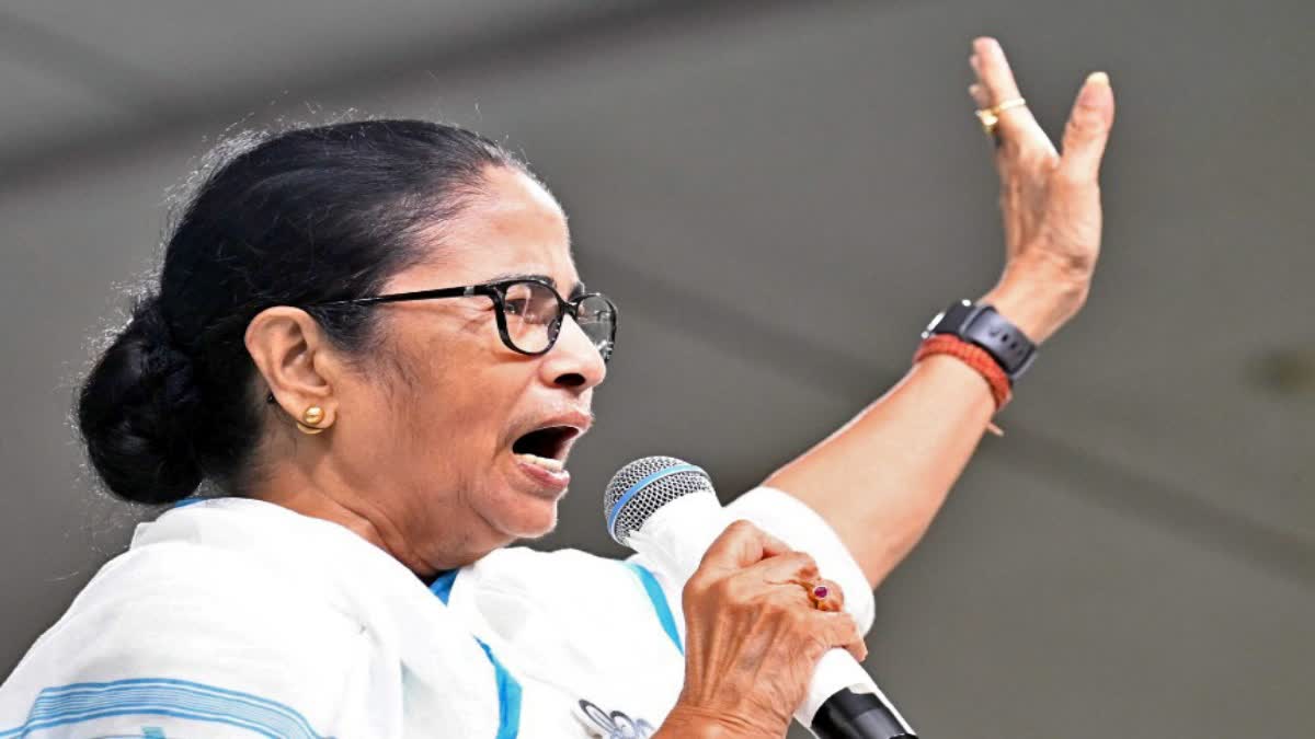 Mamata banerjee