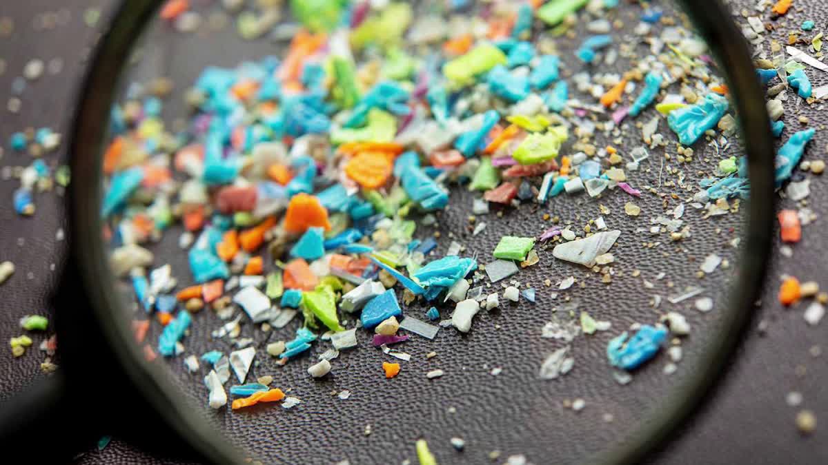 Micro Plastic Effects To Humans