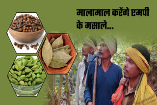Spice cultivation in Madhya Pradesh