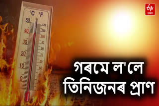 Several death due to heat stroke in various place of Goalpara