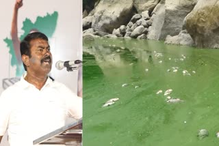 சீமான், தென்பெண்ணை ஆற்றில் கழிவுநீர் புகைப்படம்