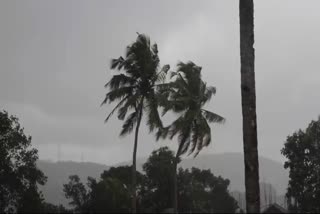 WIDESPREAD RAIN IN KERALA  CYCLONIC CIRCULATION  YELLOW ALERT IN SEVEN DISTRICTS  സംസ്ഥാനത്ത് ഇന്നും വ്യാപകമായി മഴ