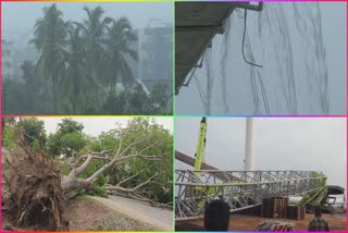 rains in ap