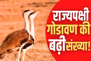 Wildlife Census In Rajasthan
