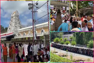 Huge Rush At Tirumala