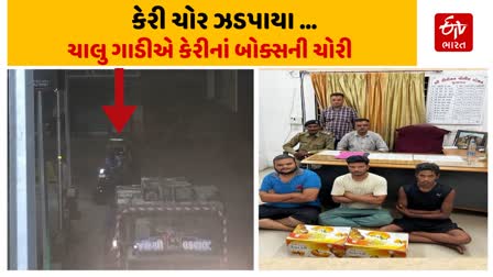 જુનાગઢ પોલીસે કેરીના બોક્સની ચોરી કરતા ત્રણ ઈસમોને ઝડપી પાડયા