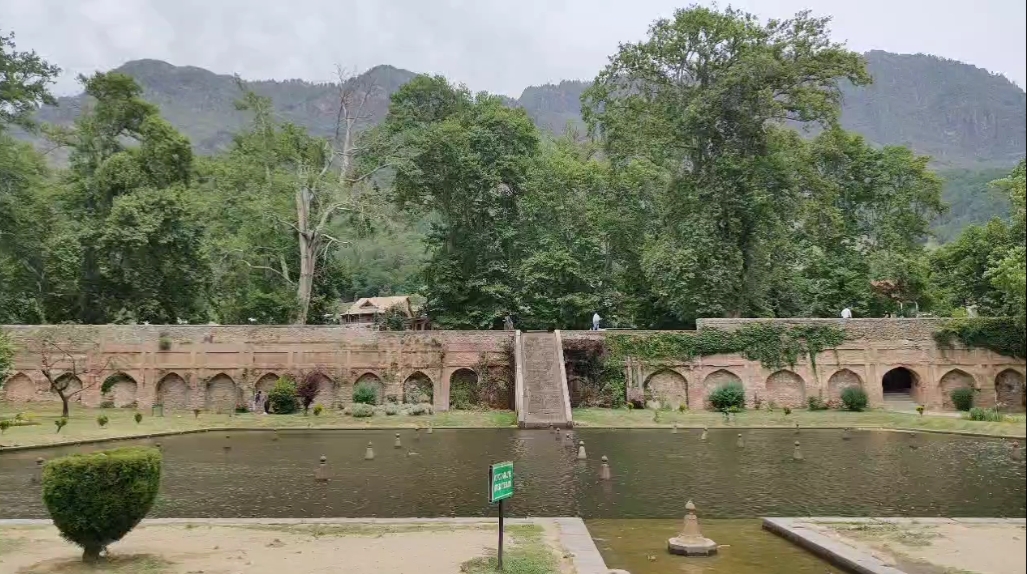 Tourists in kashmir