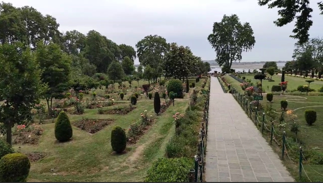 Tourists in kashmir