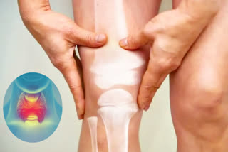 Etv BharatWorld Thyroid Day 2025 What is the connection between thyroid disease and osteoporosis?