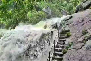 கோப்புப்படம்