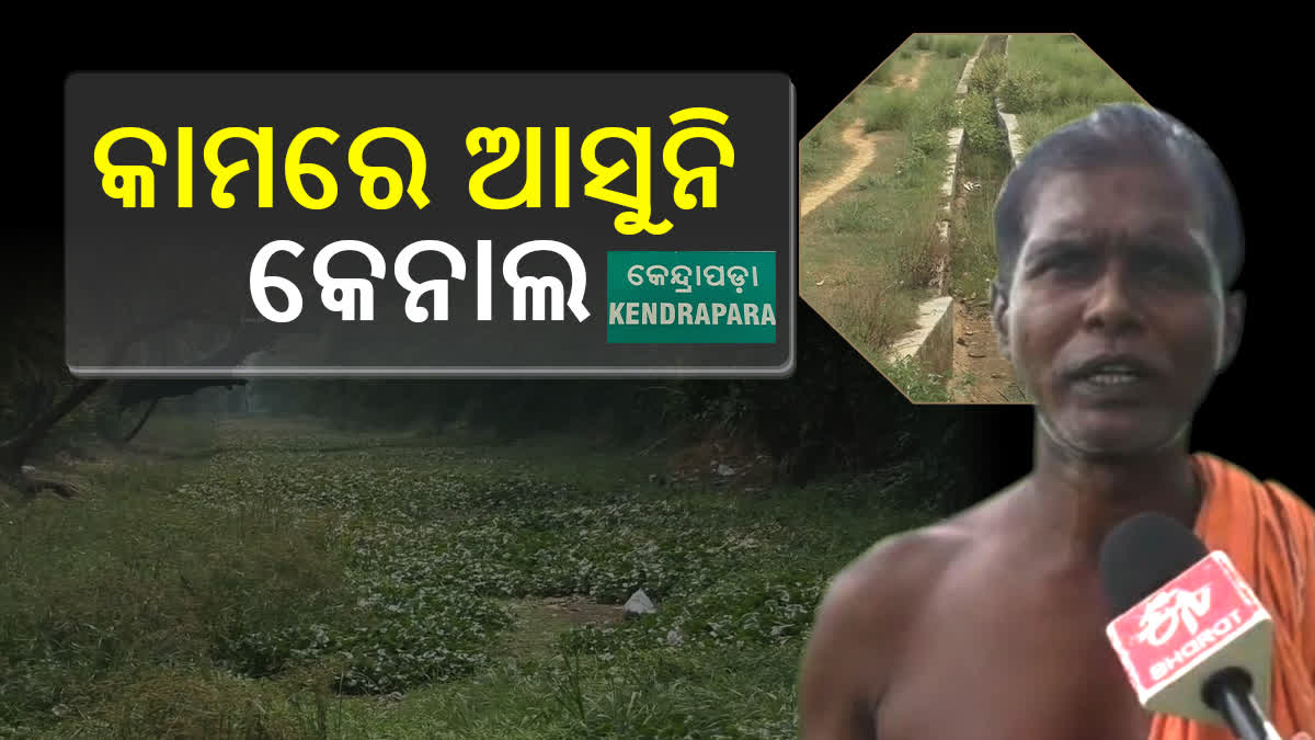 ଚାଷ ଜମିରେ ଜଳସେଚନ ସମସ୍ୟା