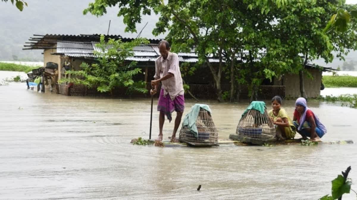Assam Flood: આસામમાં પુરને કારણે એકરમાં રહેલો પાક સ્વાહા, શાકભાજીના ભાવ આસમાને