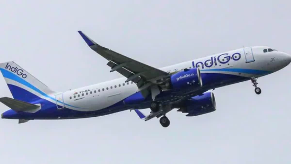 G20 Delegates Indigo flight