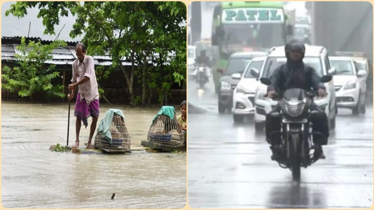 Assam Floods Wreak Havoc Monsoon Reaches Mumbai Delhi 0922