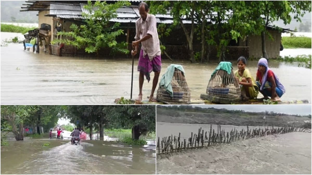 Rain  പ്രളയം  കാലവർഷം  മഴ  അസമിൽ മഴ  അസമിൽ കാലവർഷം  ഡൽഹിയിൽ കാലവർഷം  മുംബൈയിൽ കാലവർഷം  monsoon in mumbai  monsoon in delhi  monsoon in assam  assam flood  rain in assam