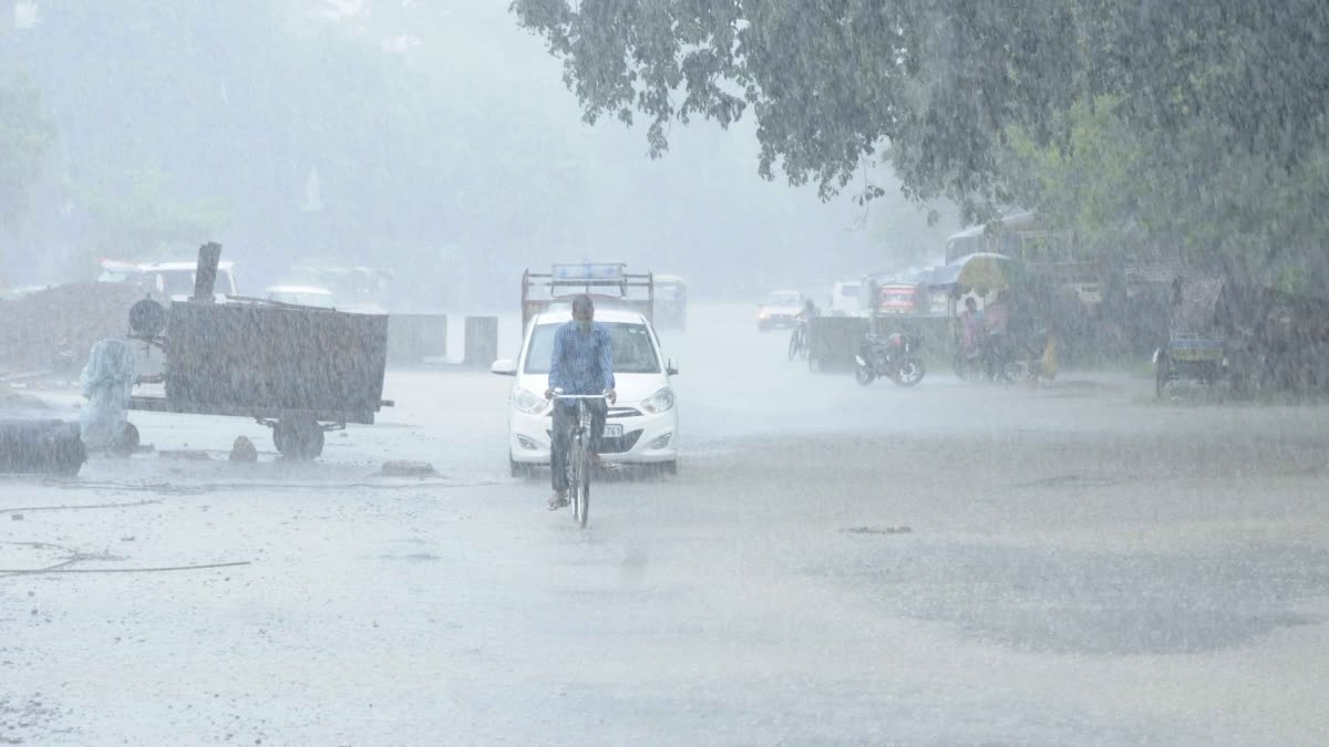 കേരളത്തിൽ മഴ  മഴ മുന്നറിയിപ്പ്  യെല്ലോ അലർട്ട്  കേരളത്തിൽ അടുത്ത അഞ്ച് ദിവസം മഴയ്‌ക്ക് സാധ്യത  Rain Update Kerala  Kerala Rain  Manson Kerala  കേന്ദ്ര കാലാവസ്ഥ വകുപ്പ്  Central Meteorological Department  ശക്തമായ മഴയ്ക്ക് സാധ്യത