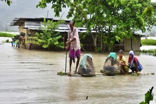 Assam flood