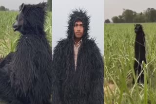 up armers wear bear costume to protect crop