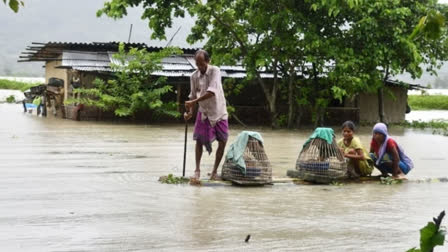 Flood in Guwahati destroyed thousands of acres of crops, prices of vegetables skyrocketed