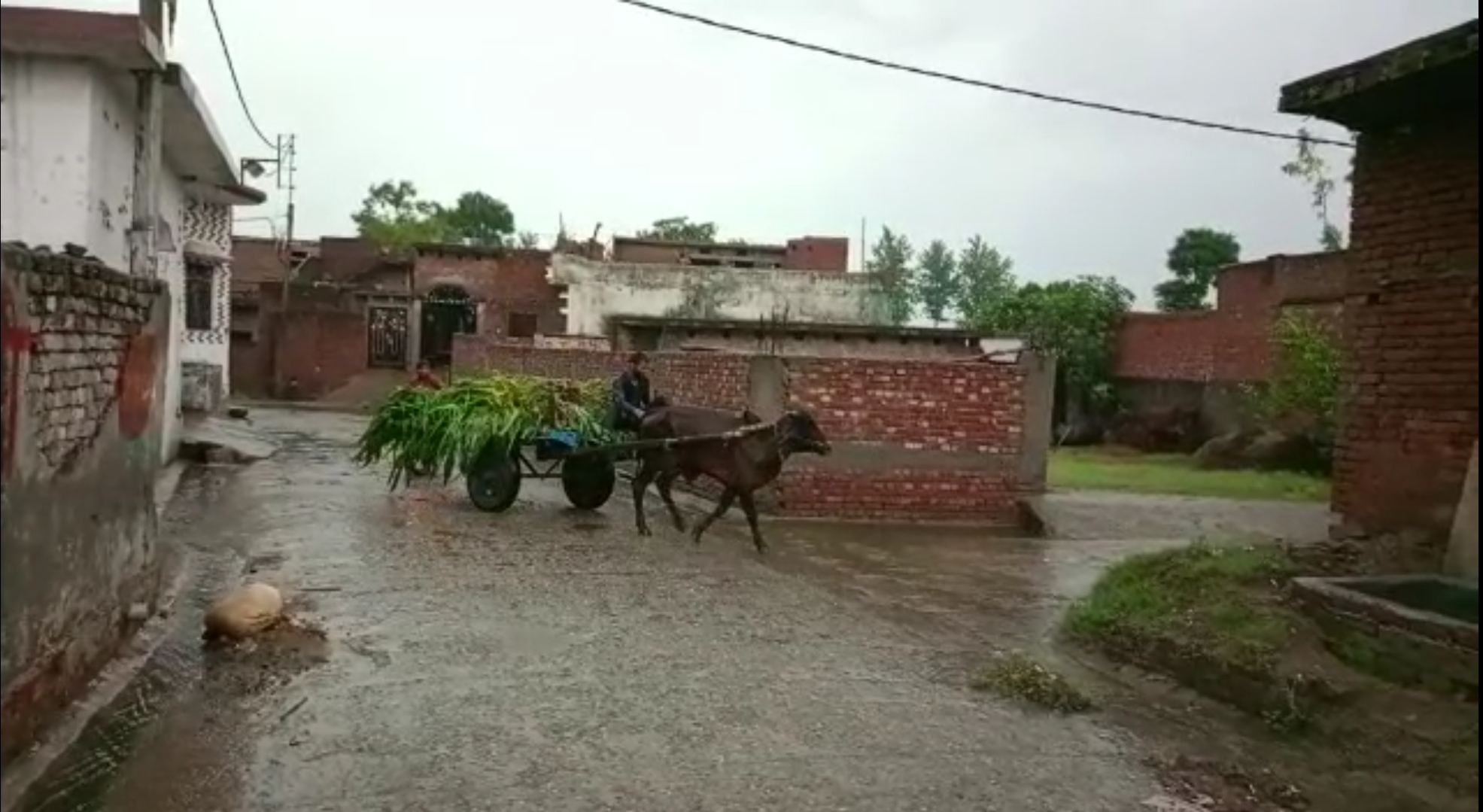 rainfall in laksar