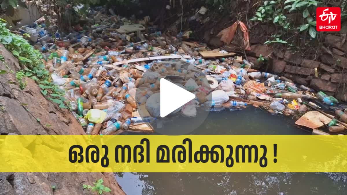 RIVER POLLUTION  MAMPUZHA  മാമ്പുഴയിൽ മാലിന്യ നിക്ഷേപം  കോഴിക്കോട്