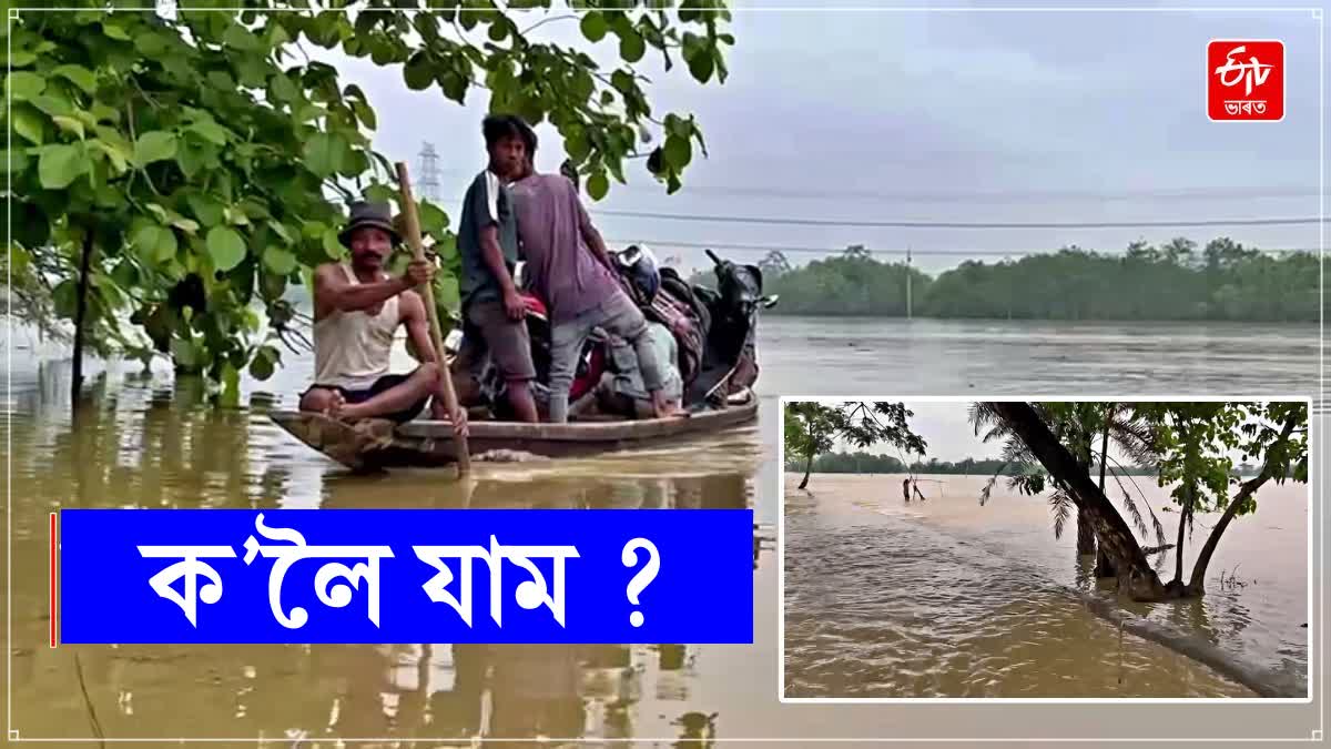 Assam Flood