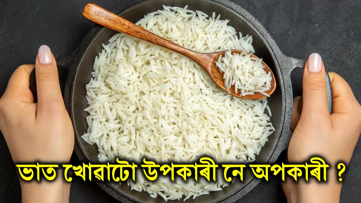 White Rice Is Not as Unhealthy as You May Think: Discover Its Amazing Benefits