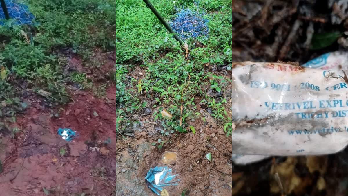 സ്‌ഫോടക വസ്‌തുക്കള്‍ കണ്ടെത്തി  EXPLOSIVE DEVICES FOUND IN WAYANAD  വയനാടിൽ സ്‌ഫോടക വസ്‌തു കണ്ടെത്തി  EXPLOSIVES FOUND BURIED THALAPUZHA