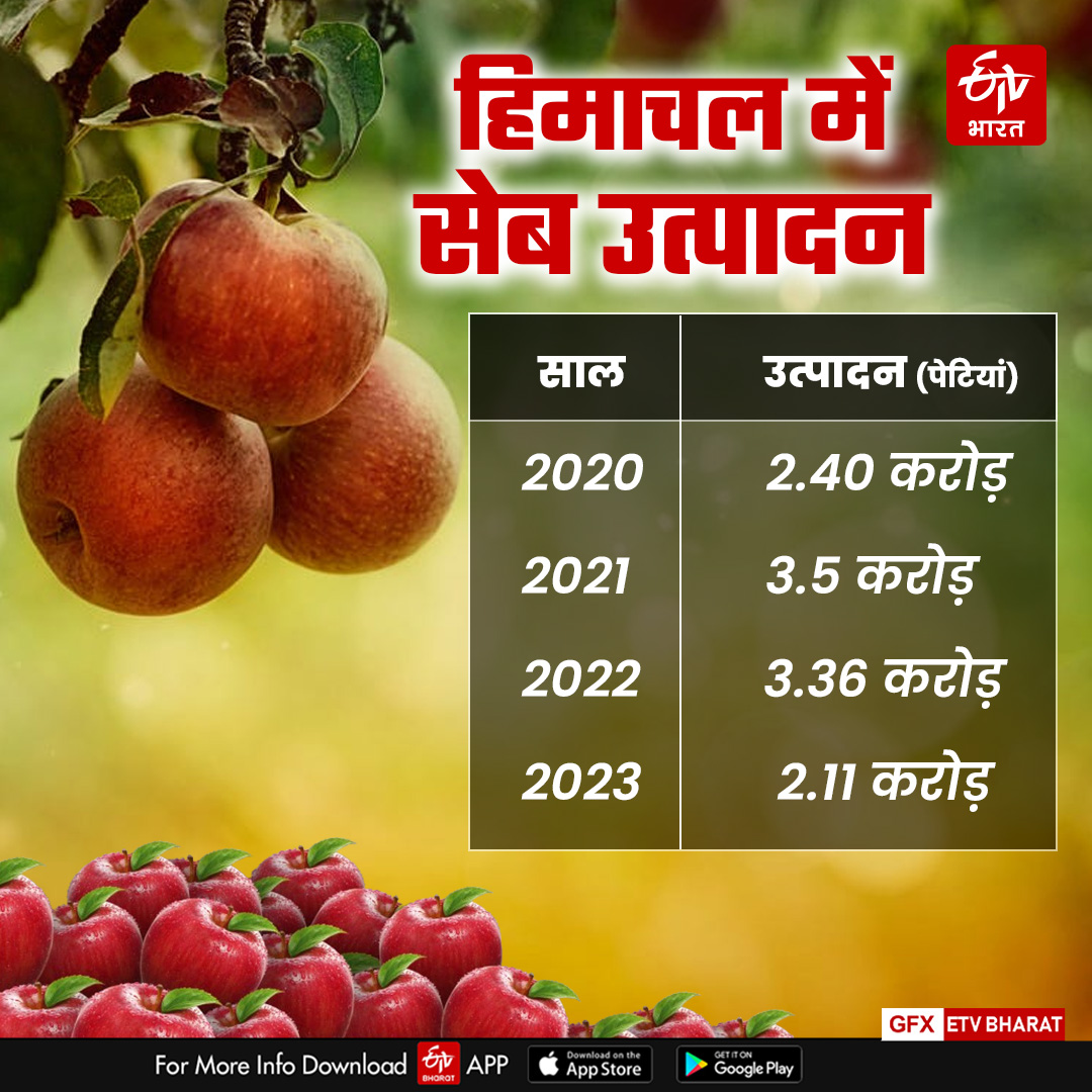 Apple Production in Himachal