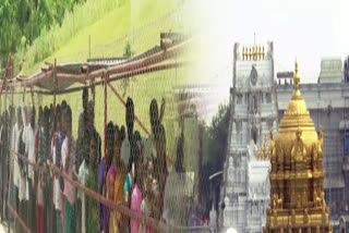 TDP Improved Facilities For Devotees in Tirumala