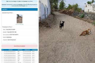 MGNREGA Supervisor Uploads Dogs Photo On Workers' Attendance App In Rajasthan's Pali, Blacklisted
