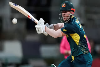 David Warner