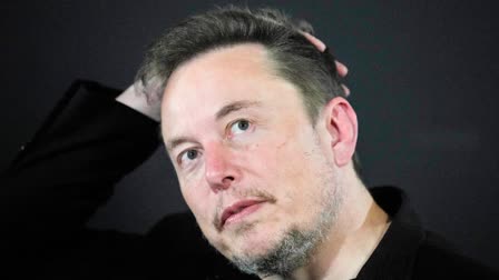 elon musk welcomes his 12th child with neuralink executive shivon zilis