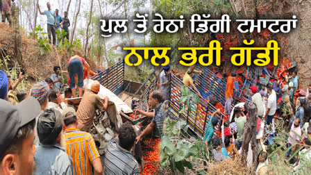 CAR WITH TOMATOES FELL DEEP DITCH