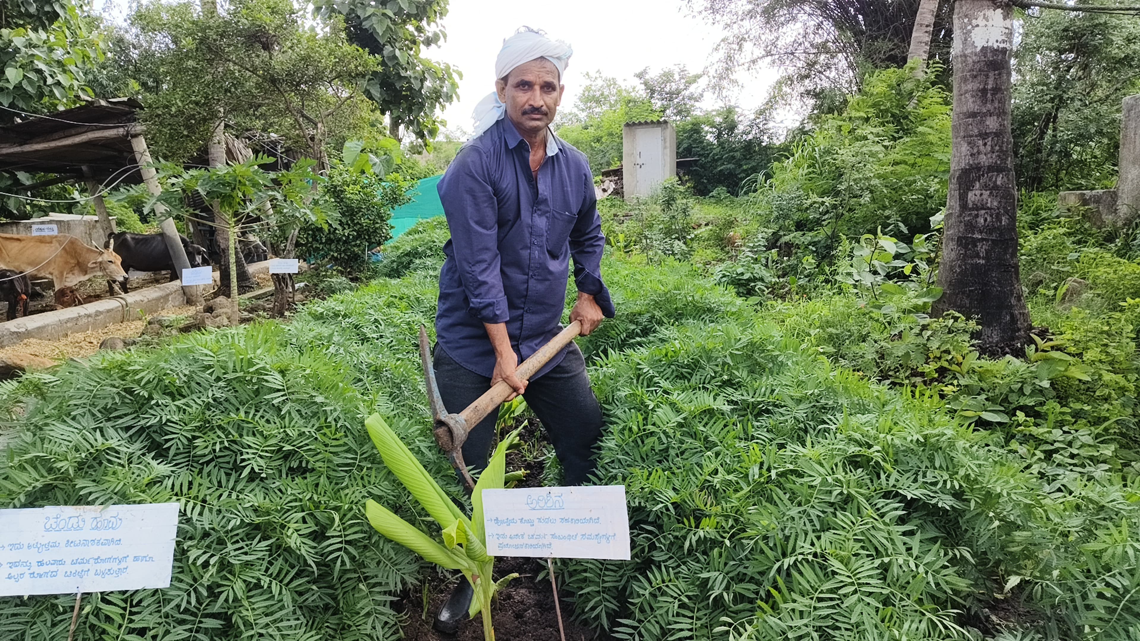 Hadimani family  Farmer Award  Motivation for farmers  Belagavi