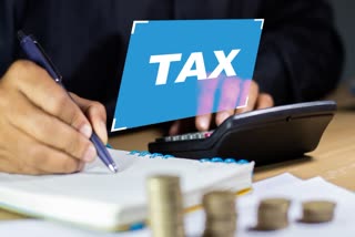INCOME TAX RETURN