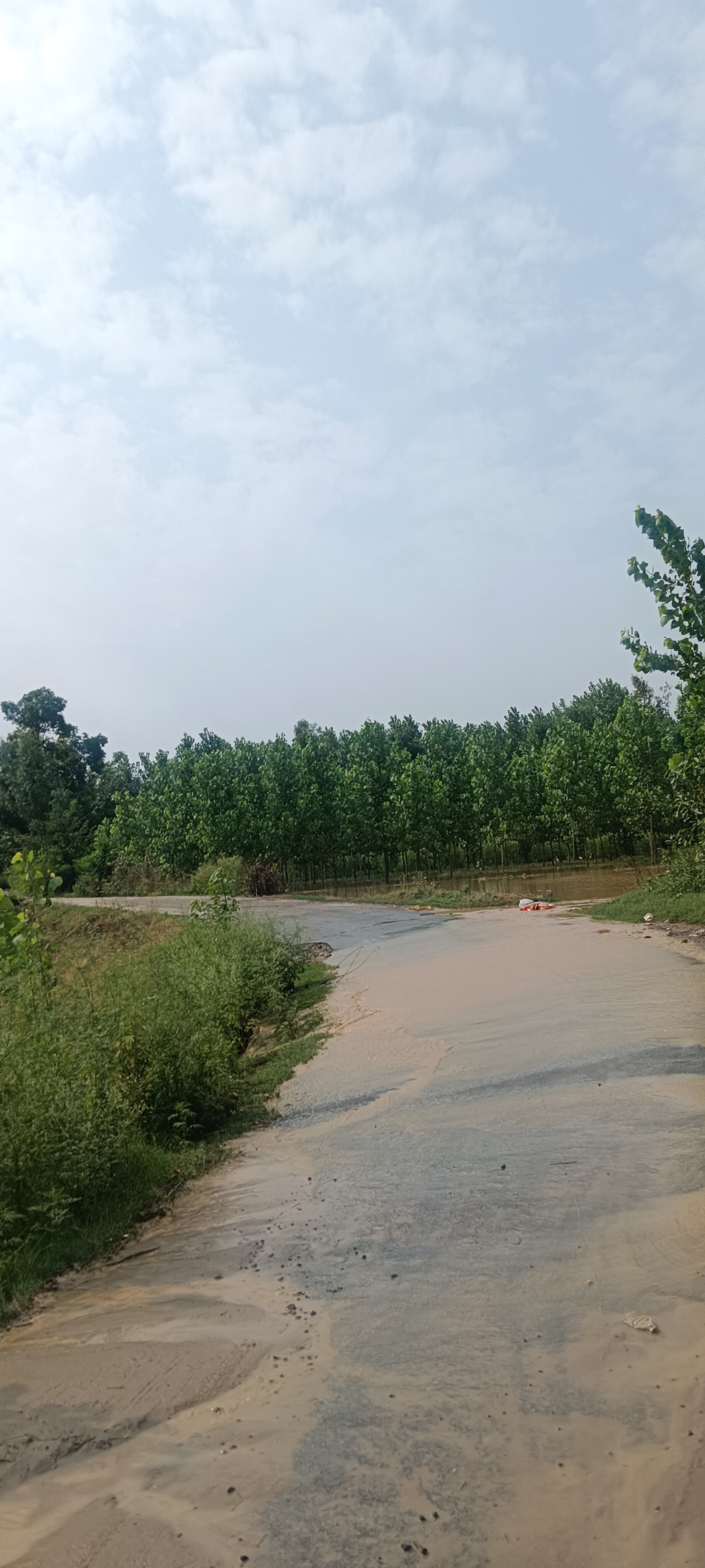 बरौली माजरा में पटरी टूटने का खतरा