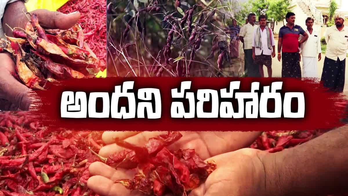 రైతులకు అందని పంట బీమా