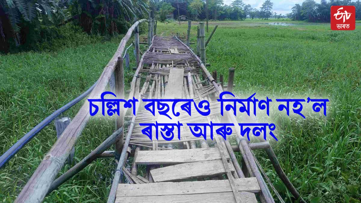 pathetic road and bridge condition of a village in dhemaji