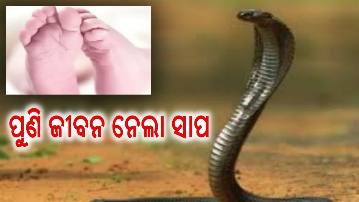 child dies of snake bite