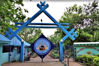 odisha govt rename deer park as sambalpur zoo