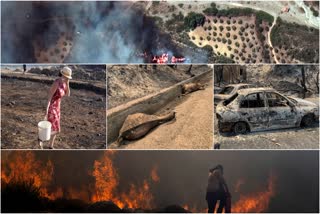 Greece Wildfires 2023 Photos