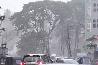 Karnataka Rain Heavy rain in Coastal Karnataka