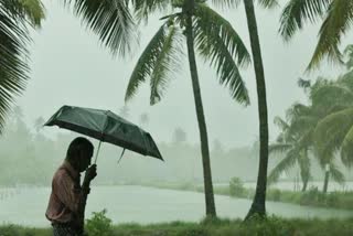 Kerala Rain  Rain continues on following four days  Rain  Kerala Rain Latest news  Heavy rain continues in Kerala  Yellow Alert  സംസ്ഥാനത്ത് നാല് ദിവസം കൂടി ശക്തമായ മഴ  മഴ തുടരും  മഴ  ശക്തമായ മഴ  യെല്ലോ അലര്‍ട്ട്  വിഴിഞ്ഞം മുതല്‍ കാസര്‍ഗോഡ്  തിരമാല  കോഴിക്കോട്  തിരുവനന്തപുരം  വിഴിഞ്ഞം