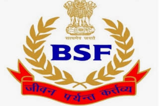 Representative image of BSF