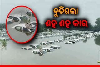 Noida: କାଗଜ ଟୁକୁଡା ପରି ପାଣିରେ ଭାସୁଛି ଶହ ଶହ କାର, ଦେଖନ୍ତୁ ଭିଡିଓ