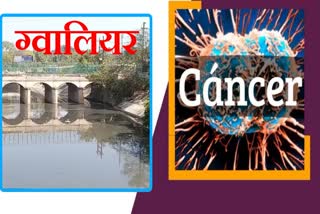 risk of cancer is increasing in Gwalior